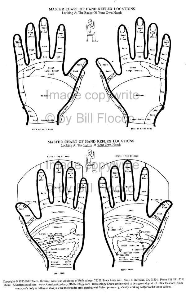 Free Foot And Hand Reflexology Chart