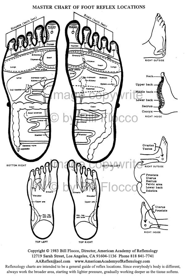 Free Reflexology Foot Chart
